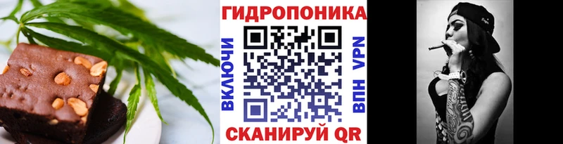 где можно купить Суджа Cannafood марихуана