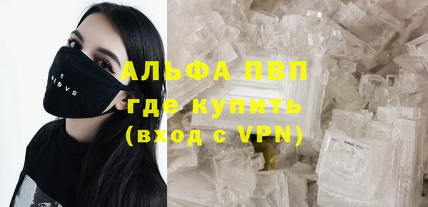 индика Краснотурьинск