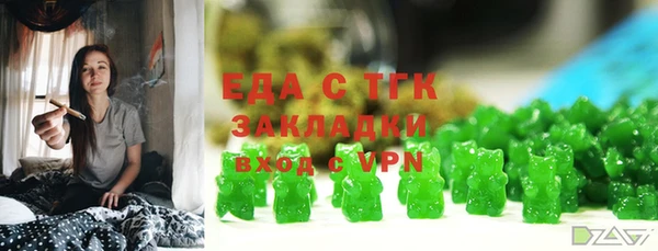 индика Краснотурьинск