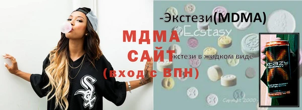 индика Краснотурьинск