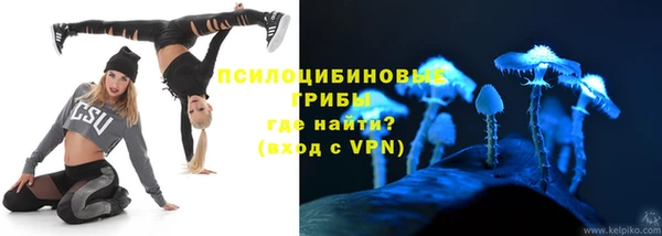 соль ск Новодвинск