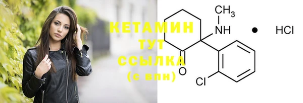 индика Краснотурьинск