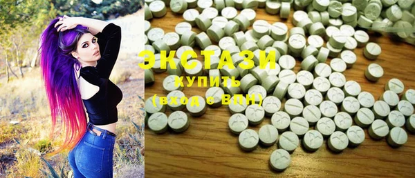 индика Краснотурьинск