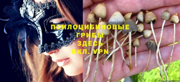 тгк Красноперекопск