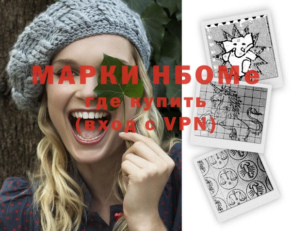индика Краснотурьинск
