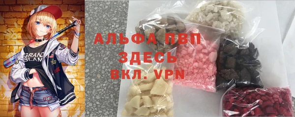 индика Краснотурьинск