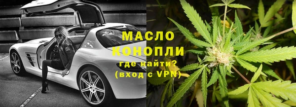 индика Краснотурьинск