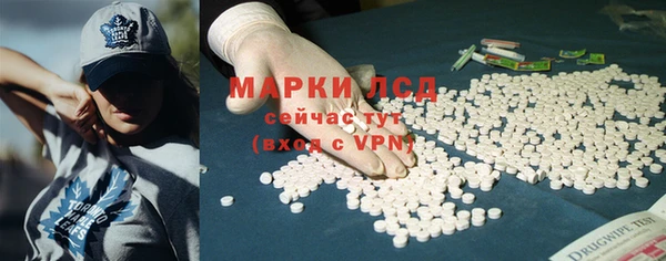 индика Краснотурьинск