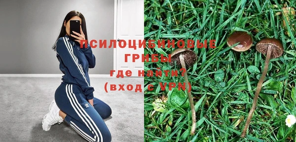 каннабис Белокуриха