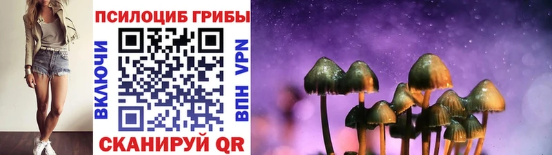 где можно купить наркотик  Суджа  Галлюциногенные грибы Magic Shrooms 
